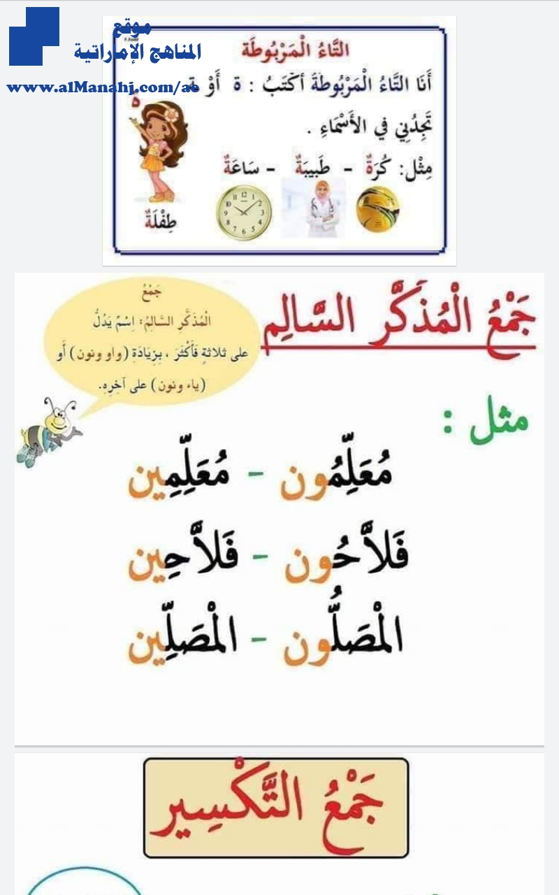 قواعد لغة عربية للمرحلة التأسيسية ملف مهم جداً مكون من 19 ورقة