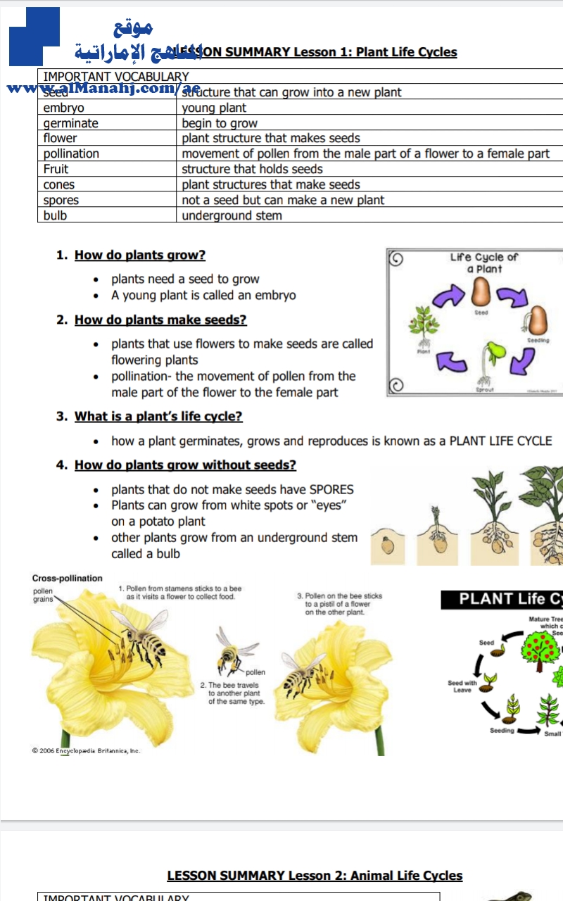 ملخص الكتاب الجزء الأول LESSON SUMMARY Lesson 1: Plant Life Cycles منهج انجليزي