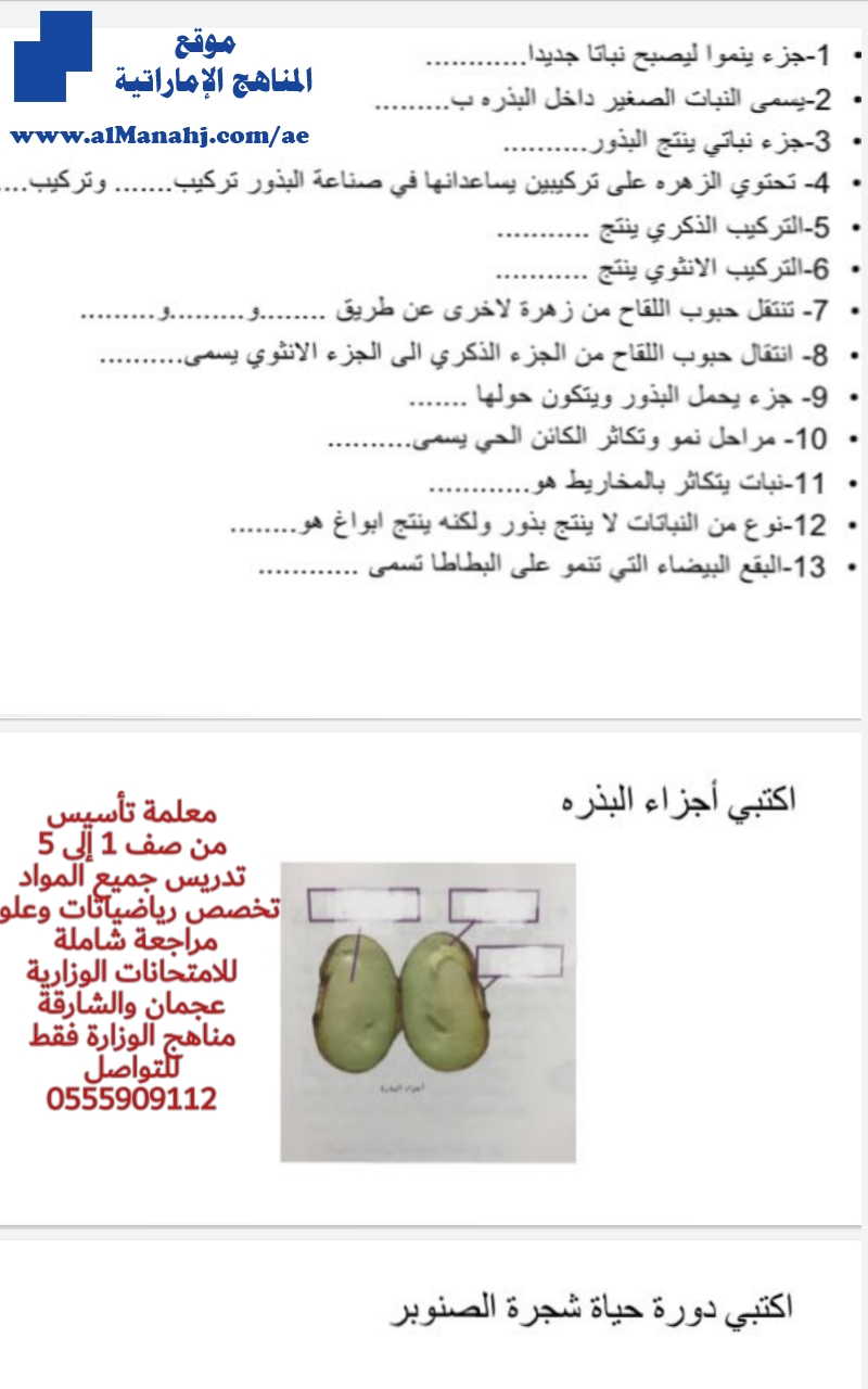 ورقة عمل هامة ملف مكون من 11 صفحة