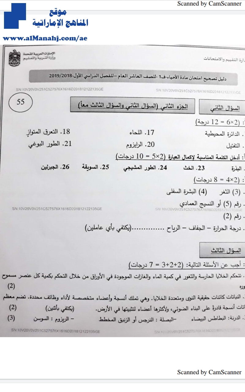 دليل تصحيح امتحان نهاية الفصل الأول 2018~2019