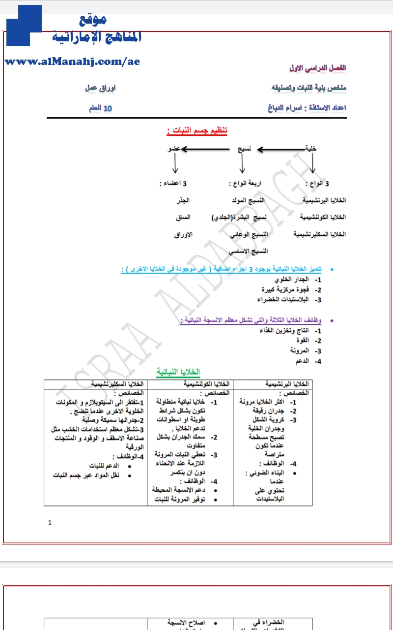 ملخص بنية النبات وتصنيفه