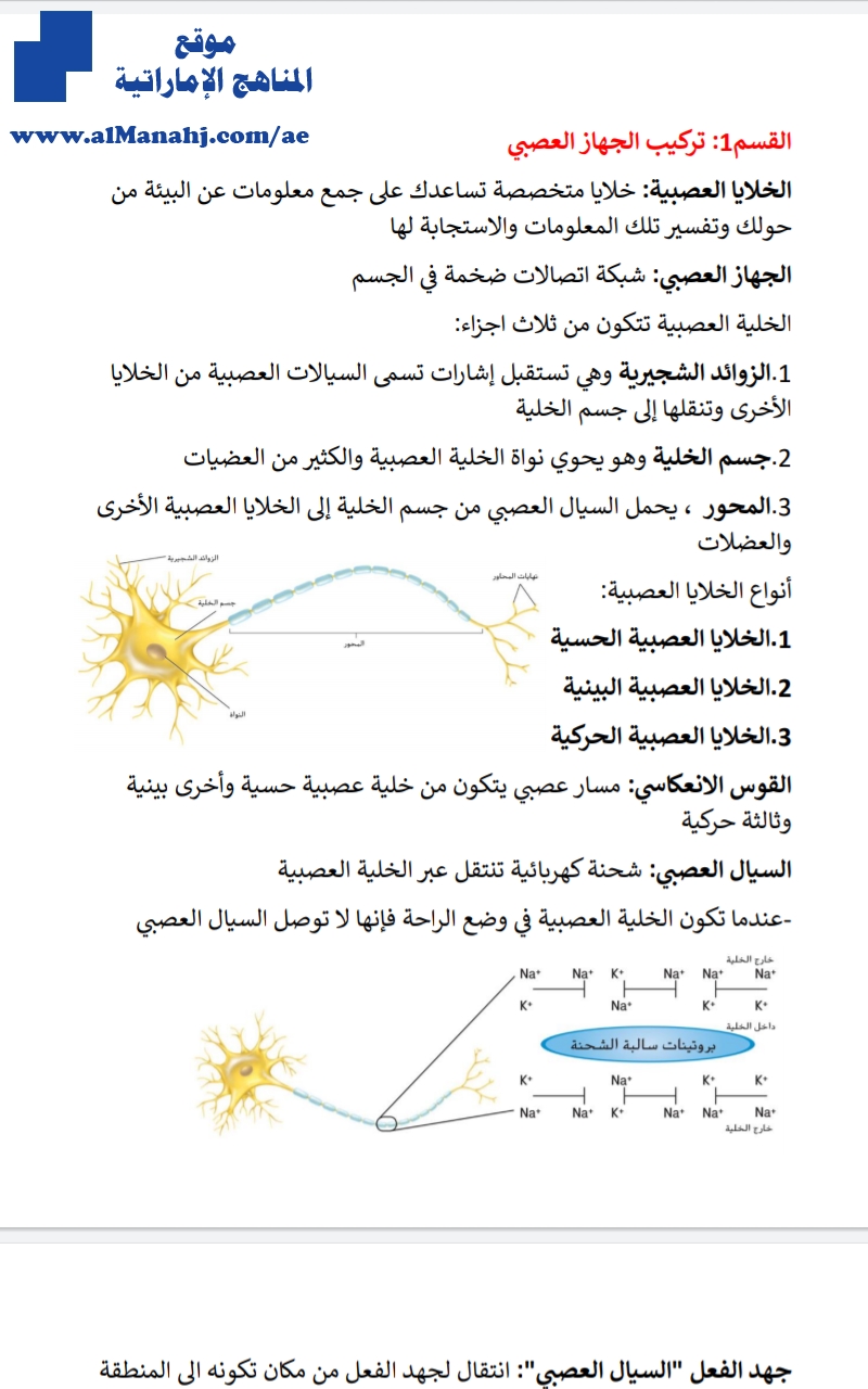 ملخص تركيب الجهاز العصبي الوحدة السادسة