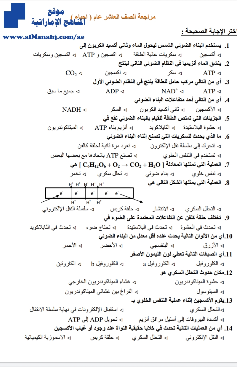 مراجعة شاملة ثانية للفصل الأول 6 صفحات