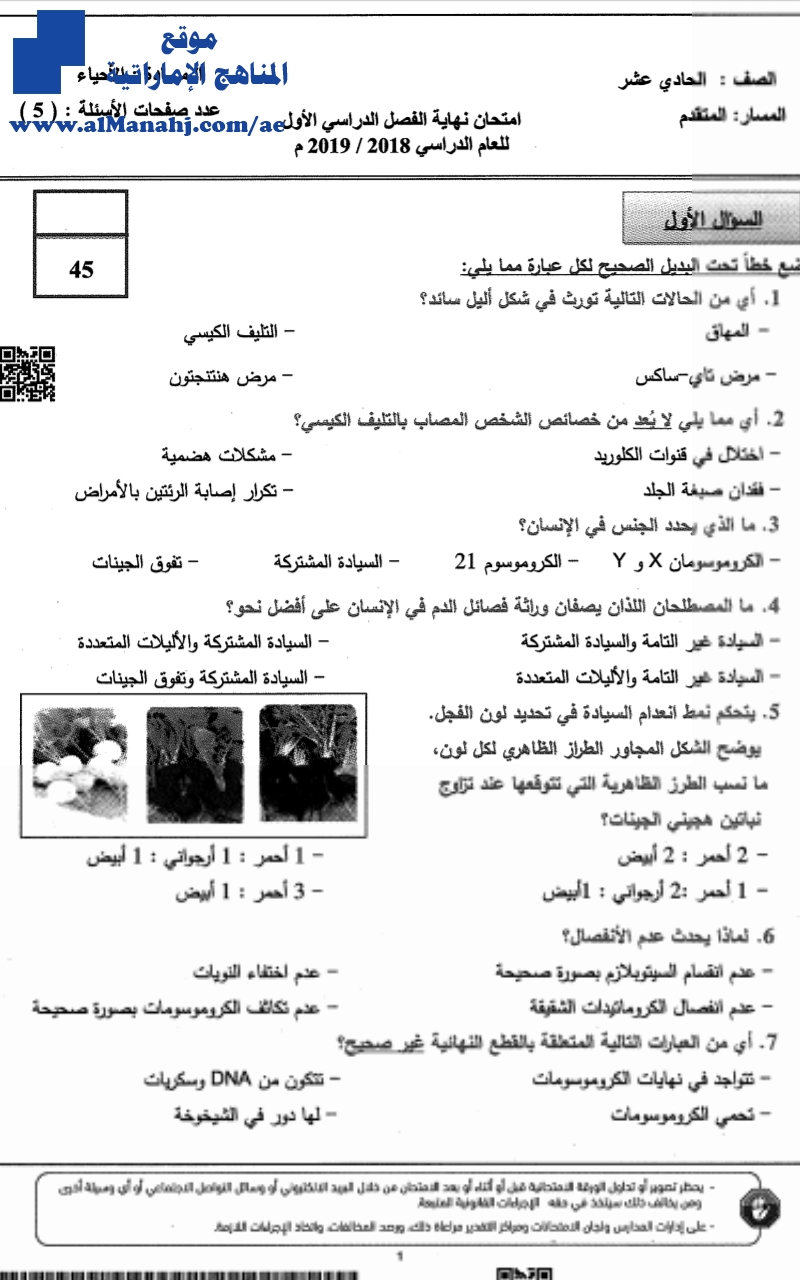 امتحان نهاية الفصل الأول 2018~2019