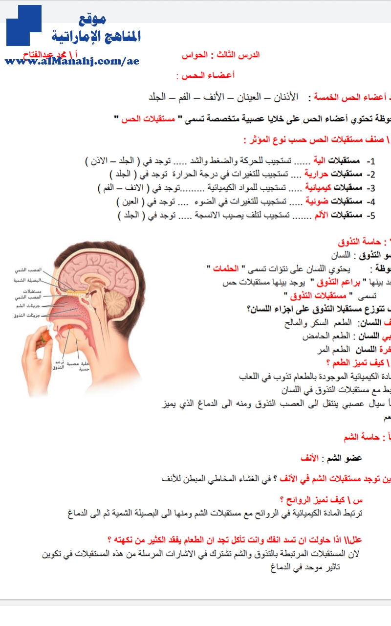 أوراق عمل درس الحواس