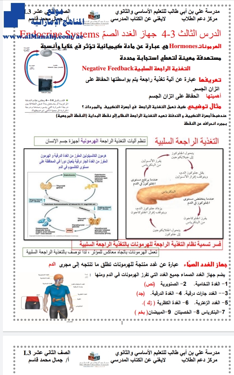 ملخص الغدد الصماء