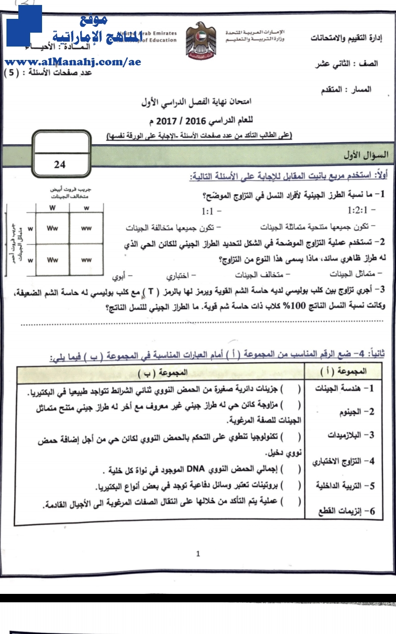 نموذج اختبار تجريبي لنهاية الفترة الأولى