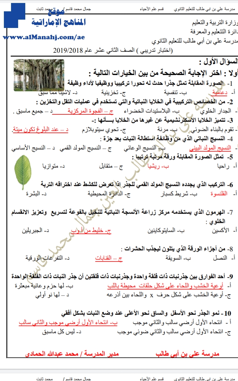 اختبار تدريبي 2018~2019