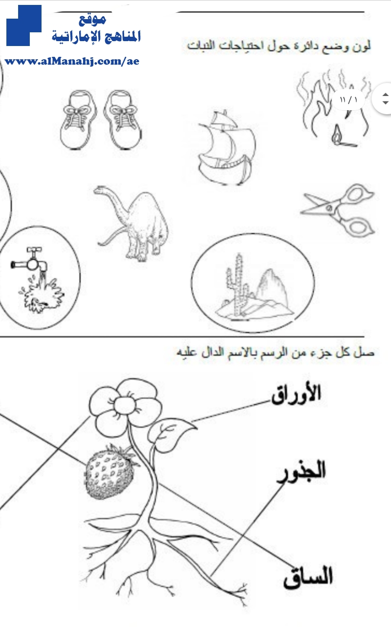 ورقة عمل ملخص احتياجات وأجزاء النيات