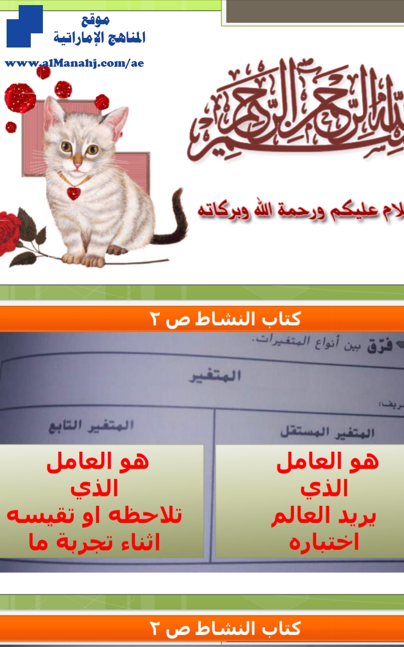 حل كتاب النشاط الوحدة الأولى
