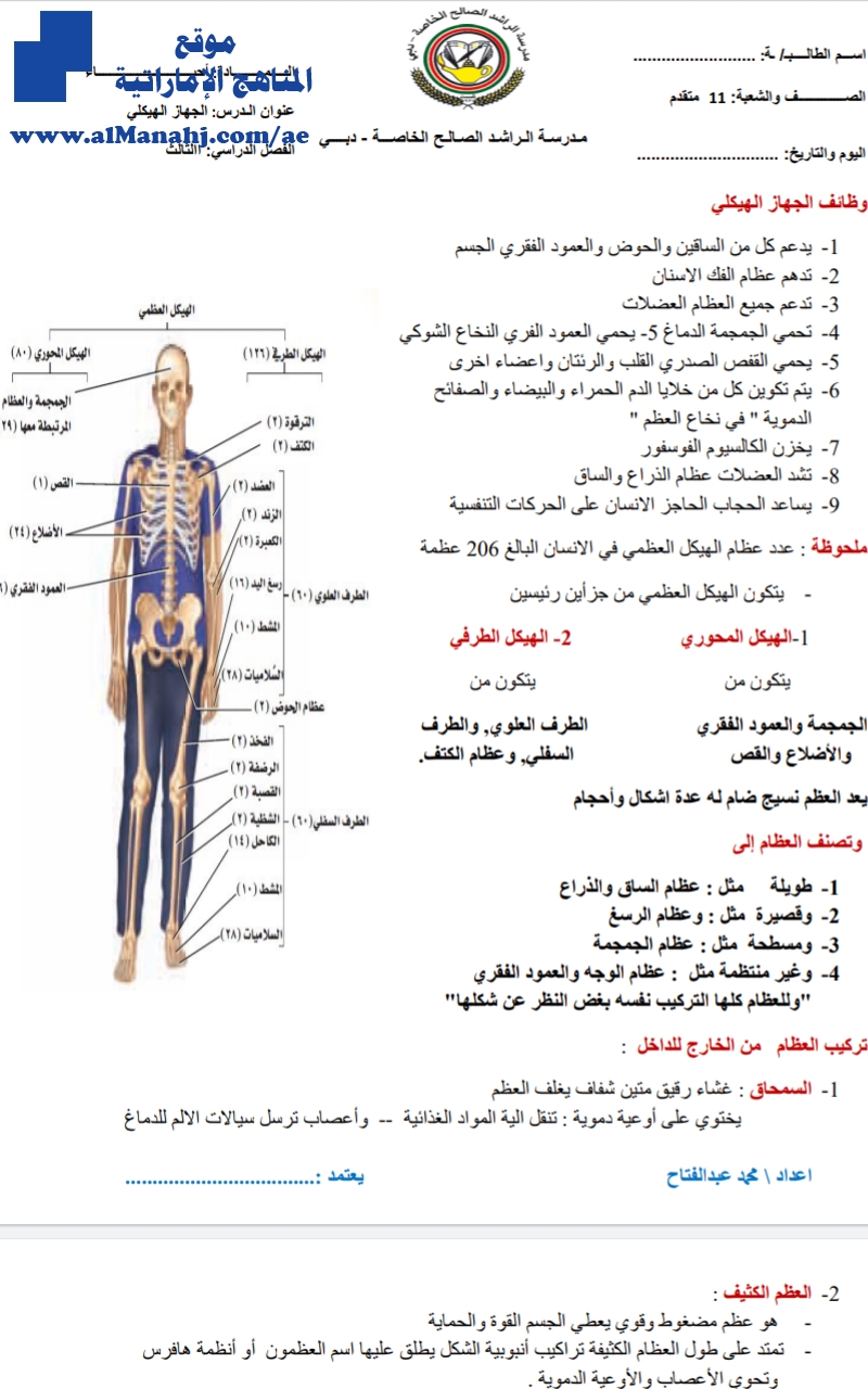 تلخيص الجهاز الهيكلي