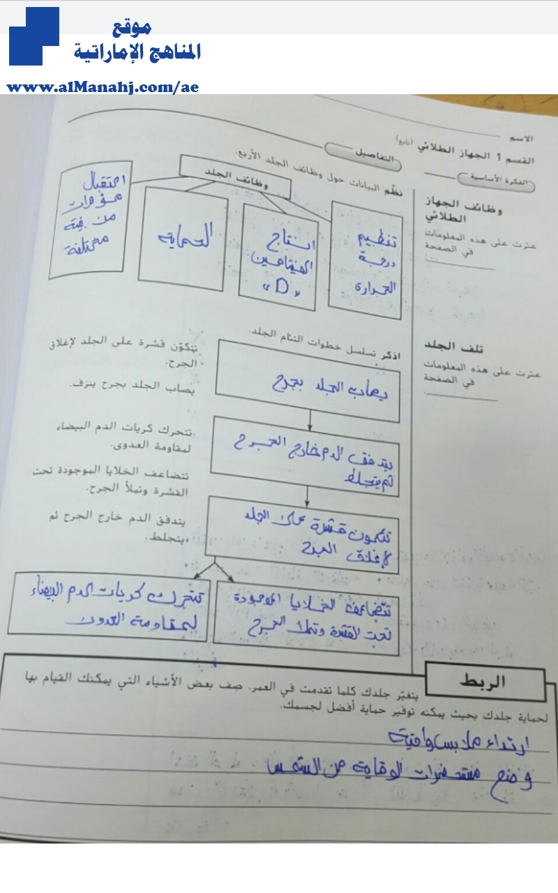 حل كتاب النشاط الوحدة الرابعة" الجهاز الطلائي والهيكلي والعضلي