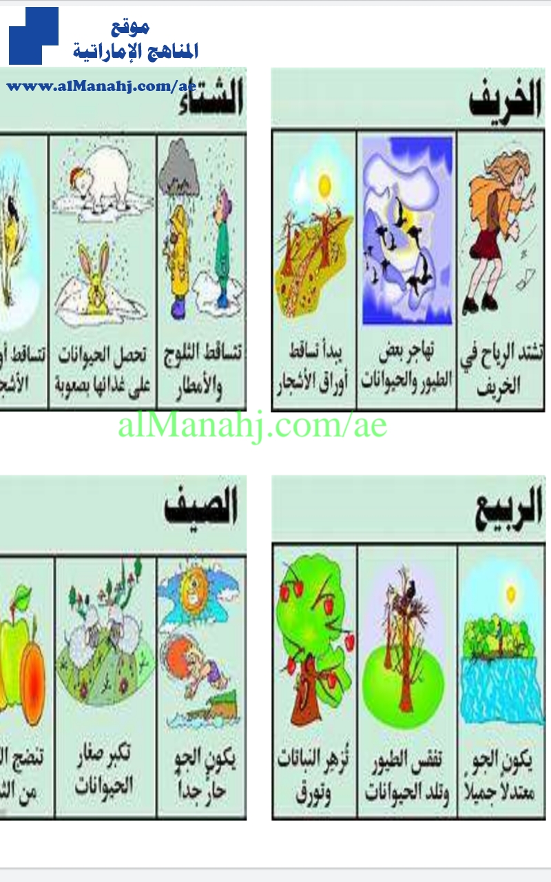 ورقة الفصول الأربعة