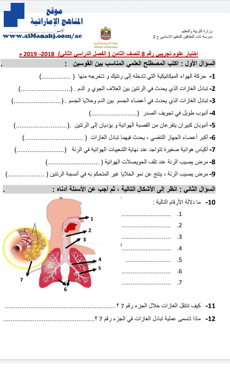 اختبار تجريبي رقم 8 يتبعه الحل لعام 2018~2019