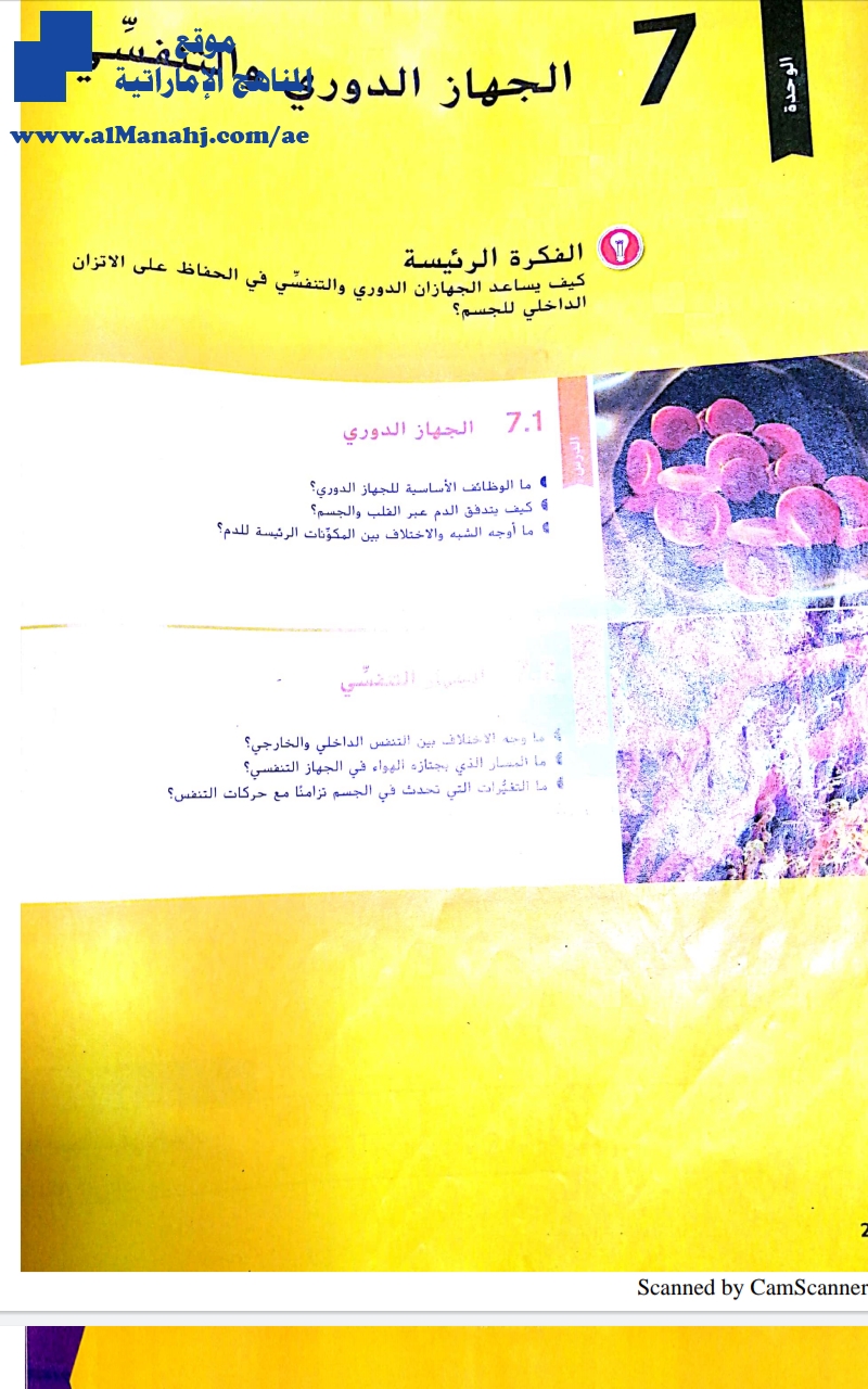 دليل المعلم الوحدة السابعة الجهاز الدوري والتنفسي