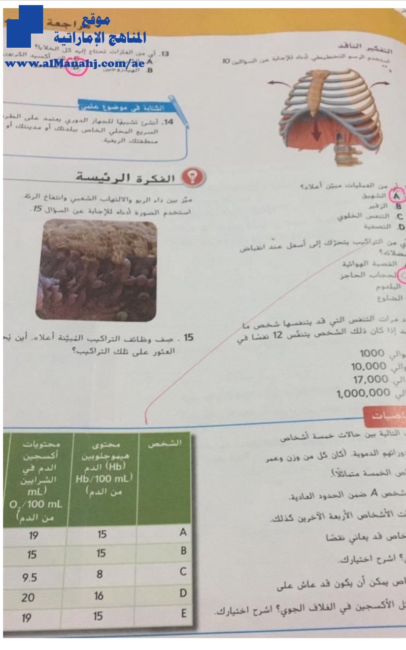 أسئلة محلولة لدرس الجهاز الدوري والتنفسي