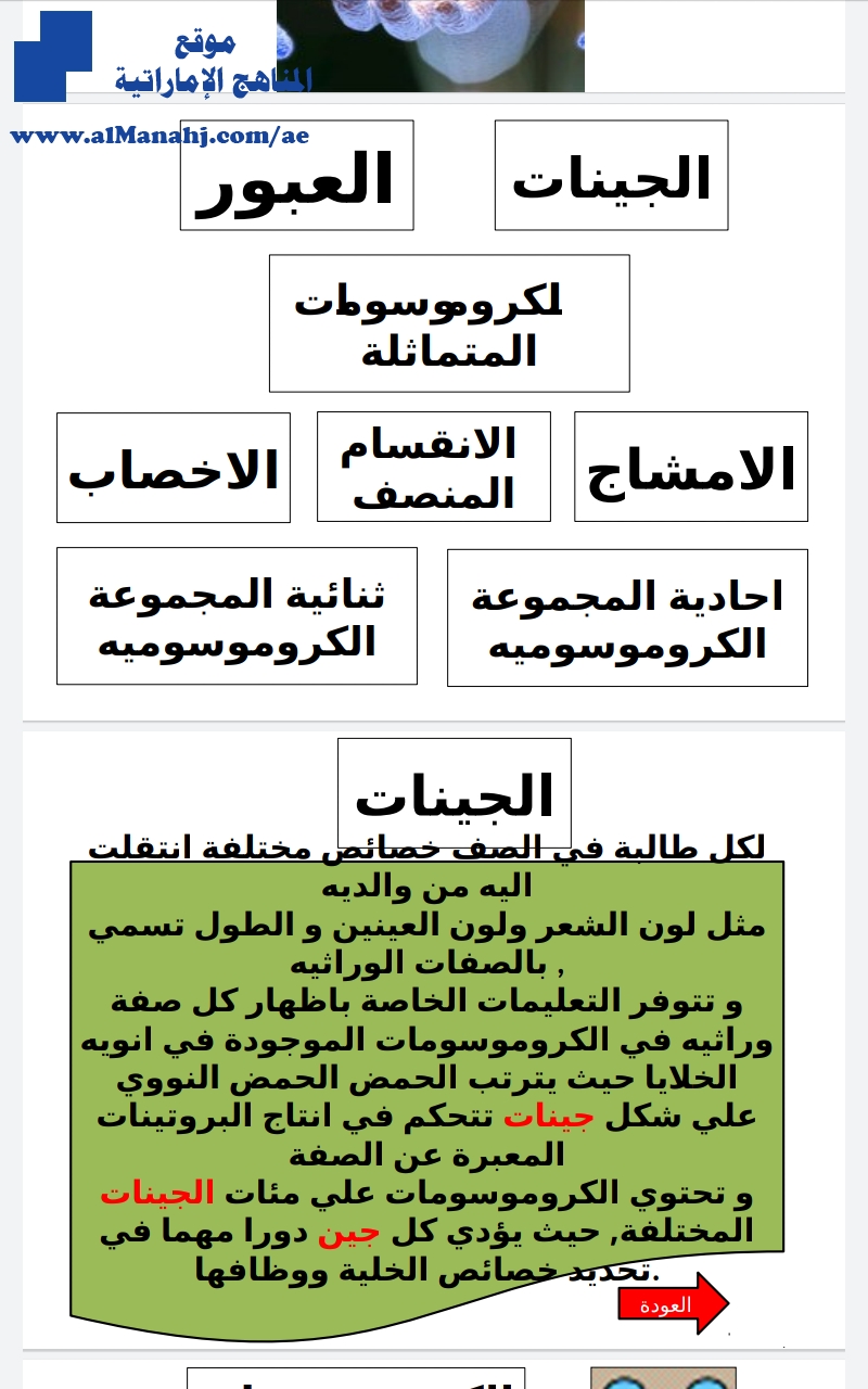 مراجعة درس الجينات