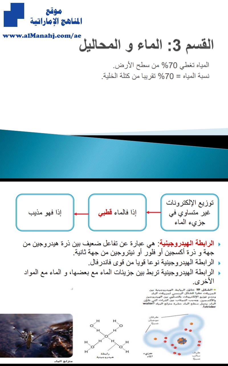 شرح كافي عن الماء والتحاليل
