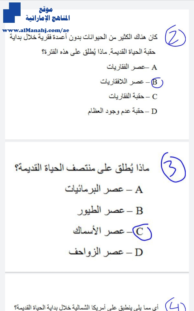 اختبار قصير