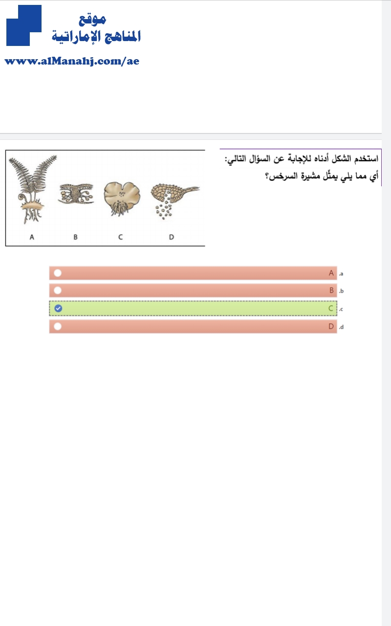 أسئلة الاختبار المركزي الثاني 2 مع الحل