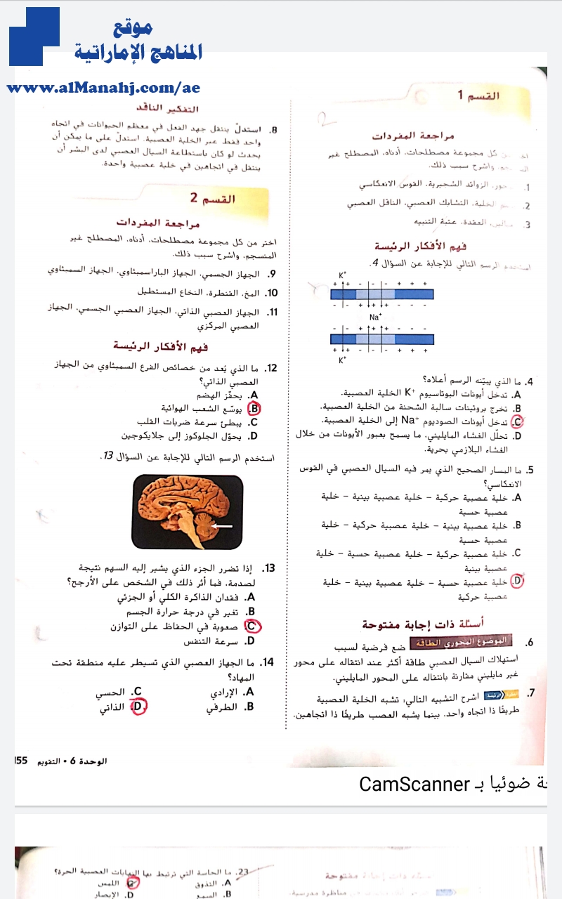 أوراق عمل الوحدة السادسة تدريب على الاختبار المعياري