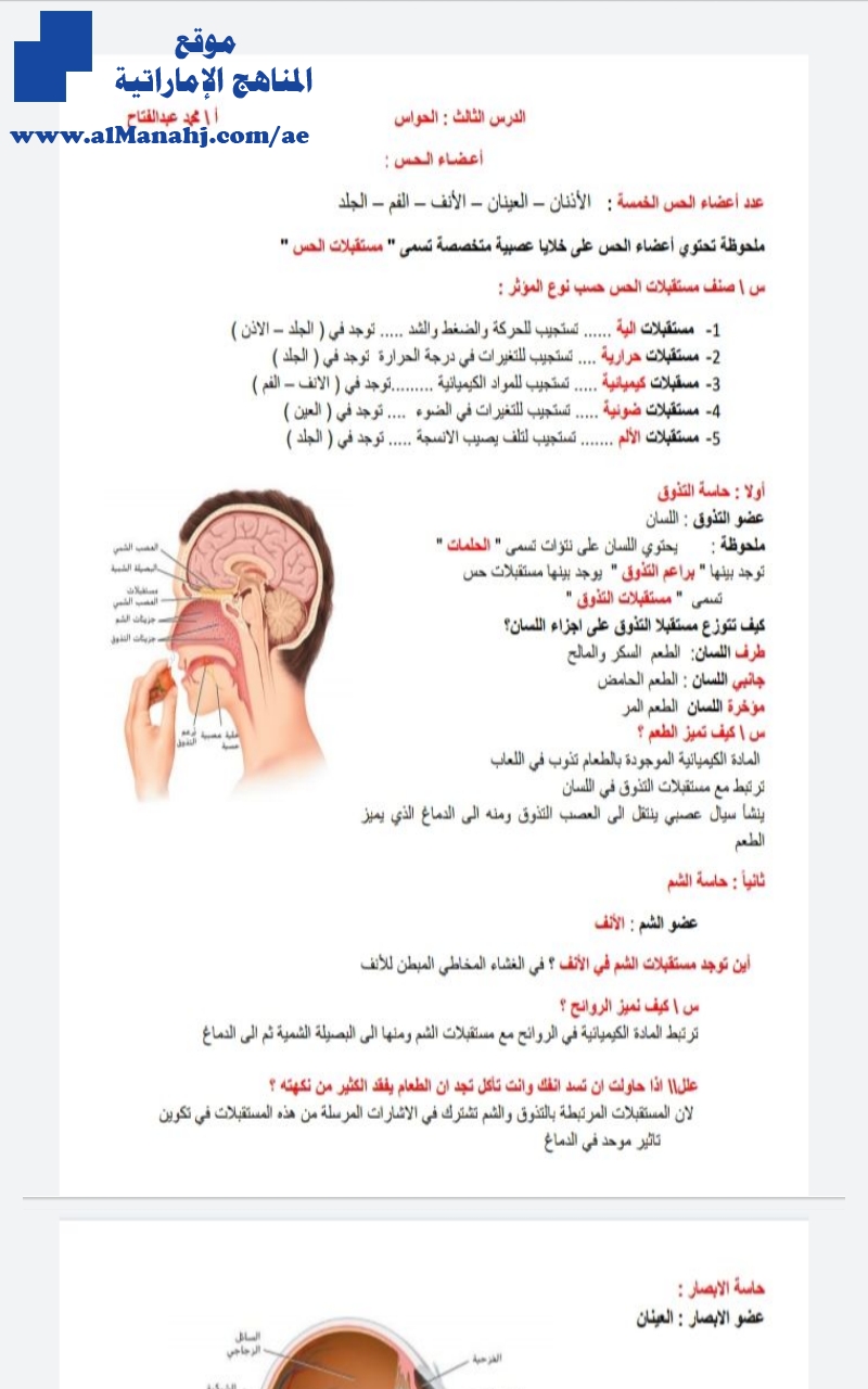 الدرس الثالث الحواس