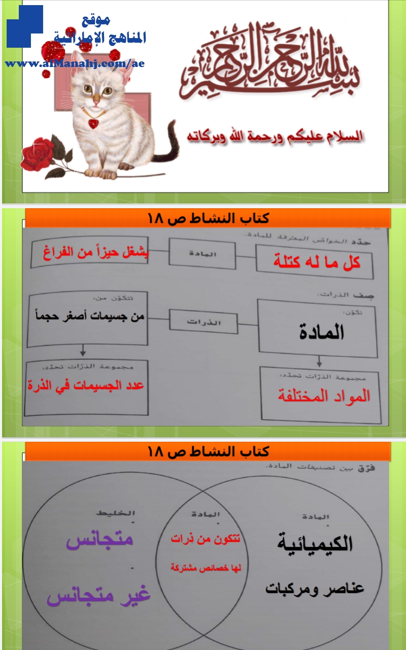 حل كتاب الأنشطة الوحدة الرابعة