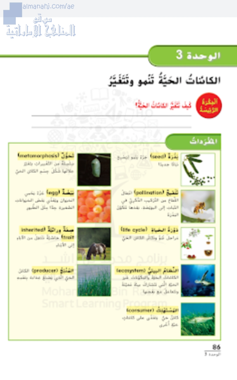 كتاب الطالب الوحدة الثالثة