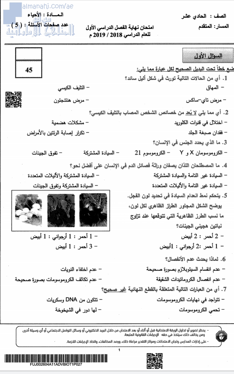 أسئلة امتحان نهاية الفصل الأول