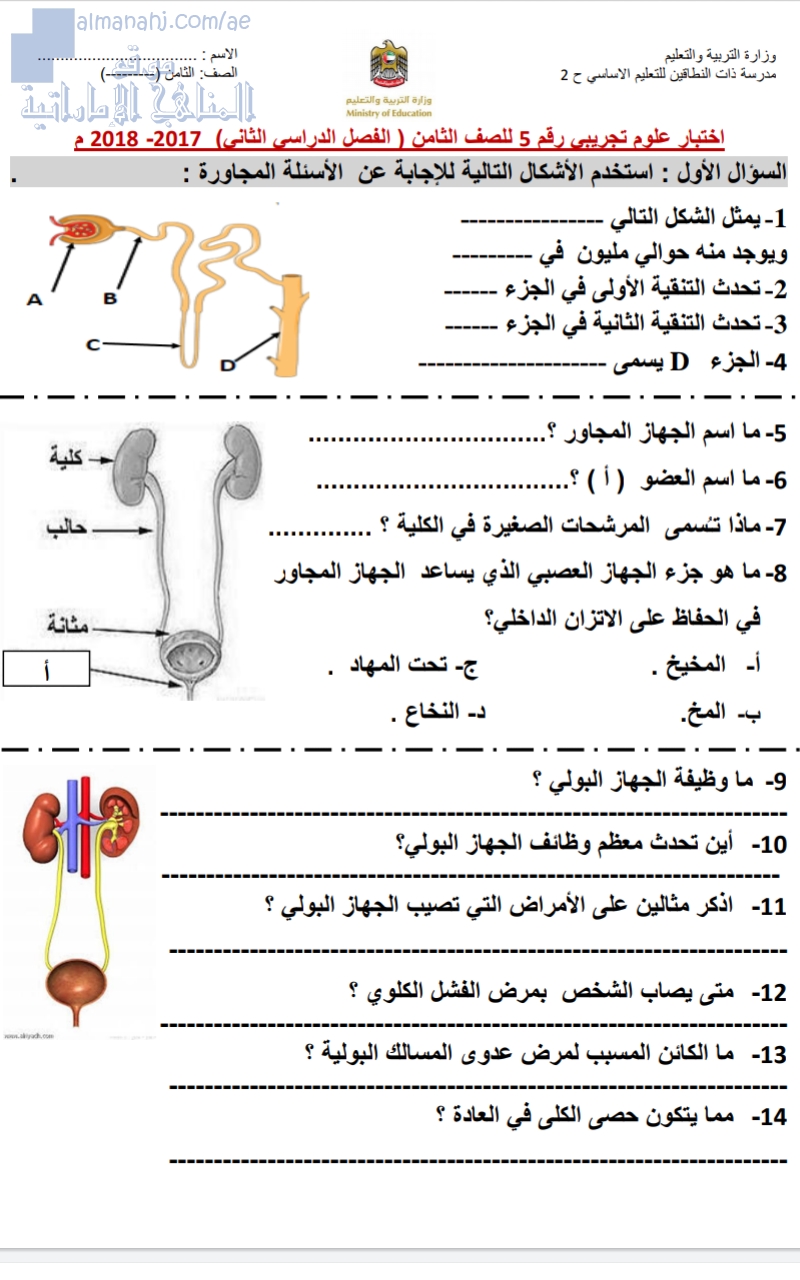 نموذج اختبار تجريبي محلول لدرس الجهاز الإخراجي