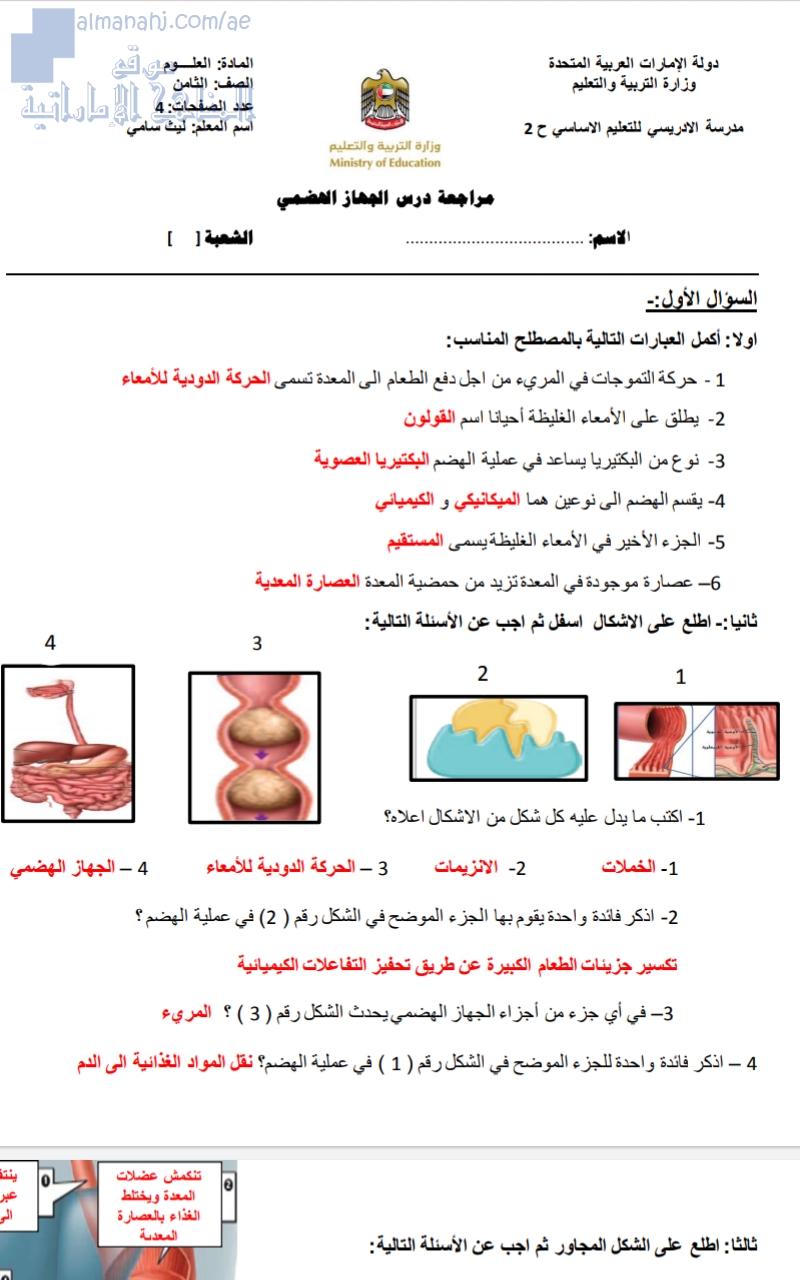 مراجعة درس الجهاز الهضمي
