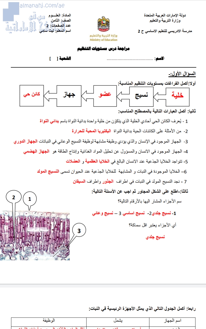 مراجعة درس مستويات التنظيم