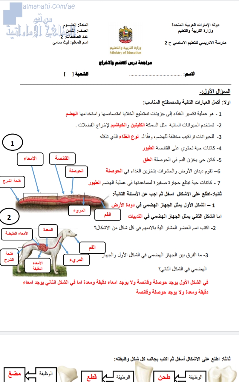 مراجعة درس الهضم والإخراج