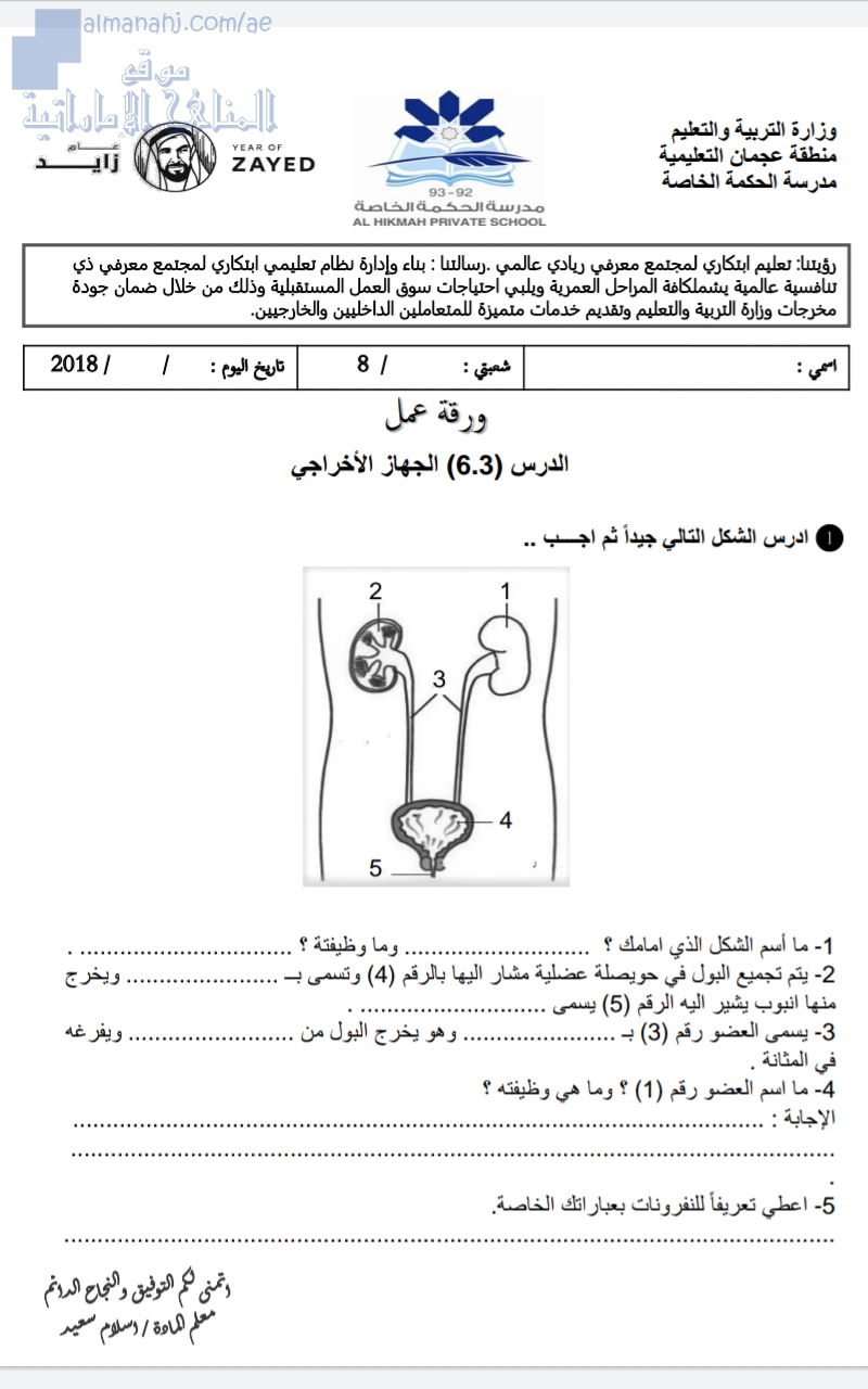 ورقة عمل لدرس الجهاز الإخراجي