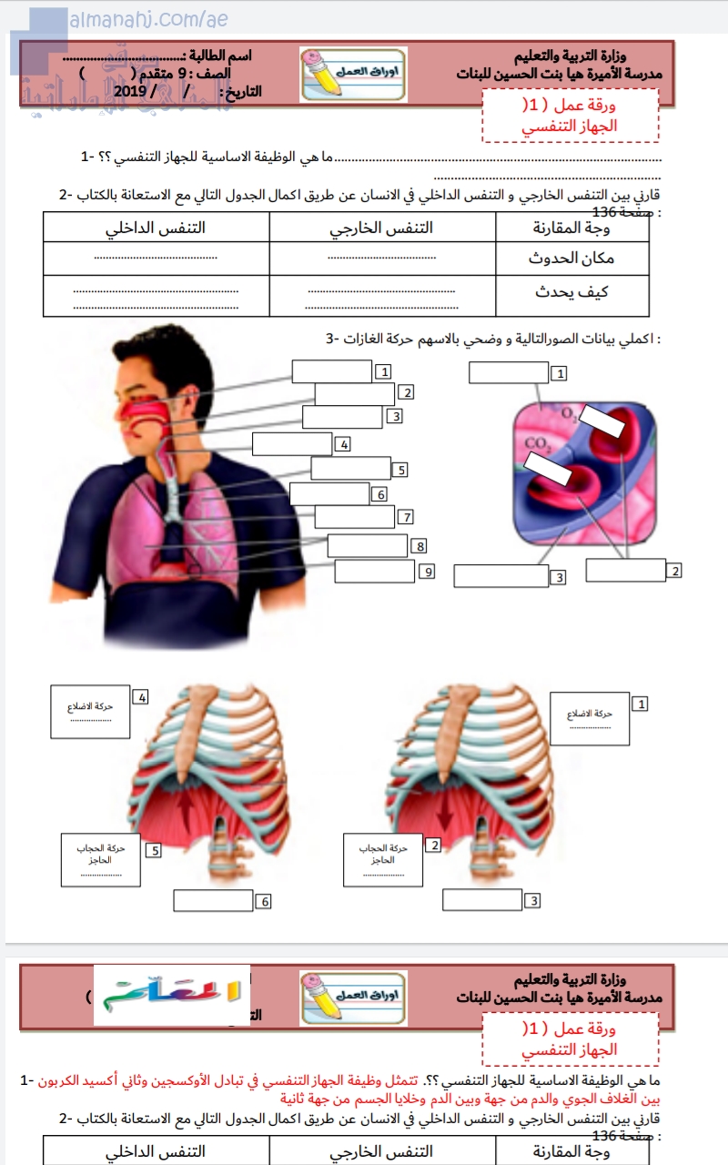 ورقة عمل مهمة للجهاز النفسي