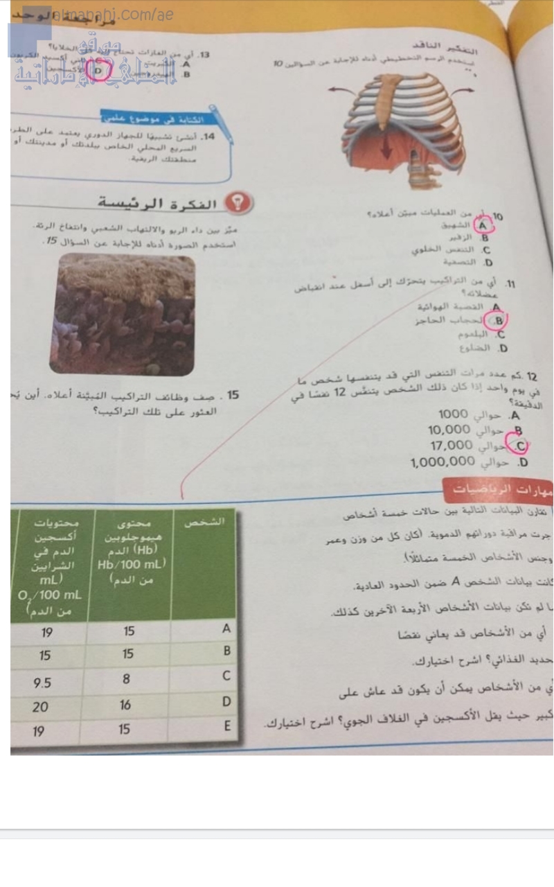 حل بخط اليد لدرس الجهاز الدوري والتنفسي