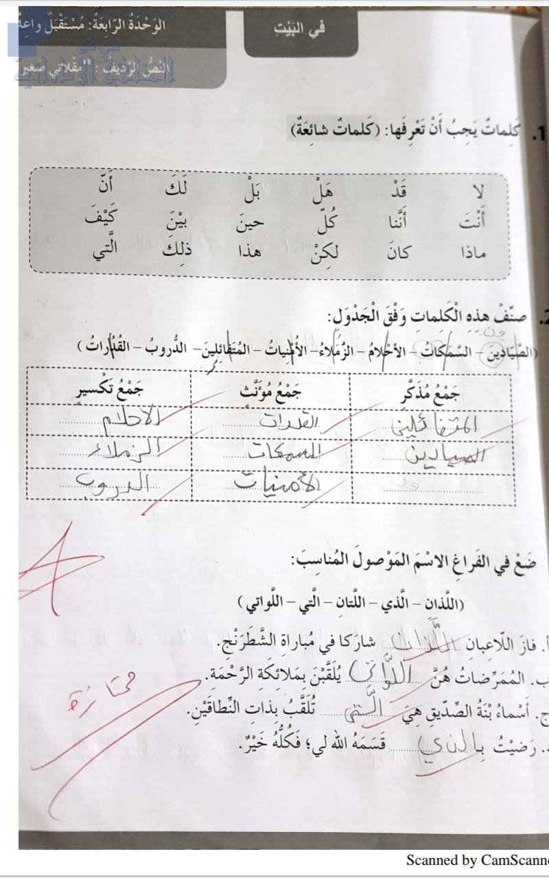 حل درس مقلاتي صغيرة من كتاب النشاط