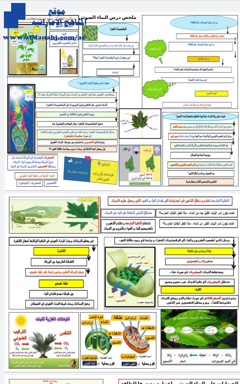 ملخص البناء الضوئي