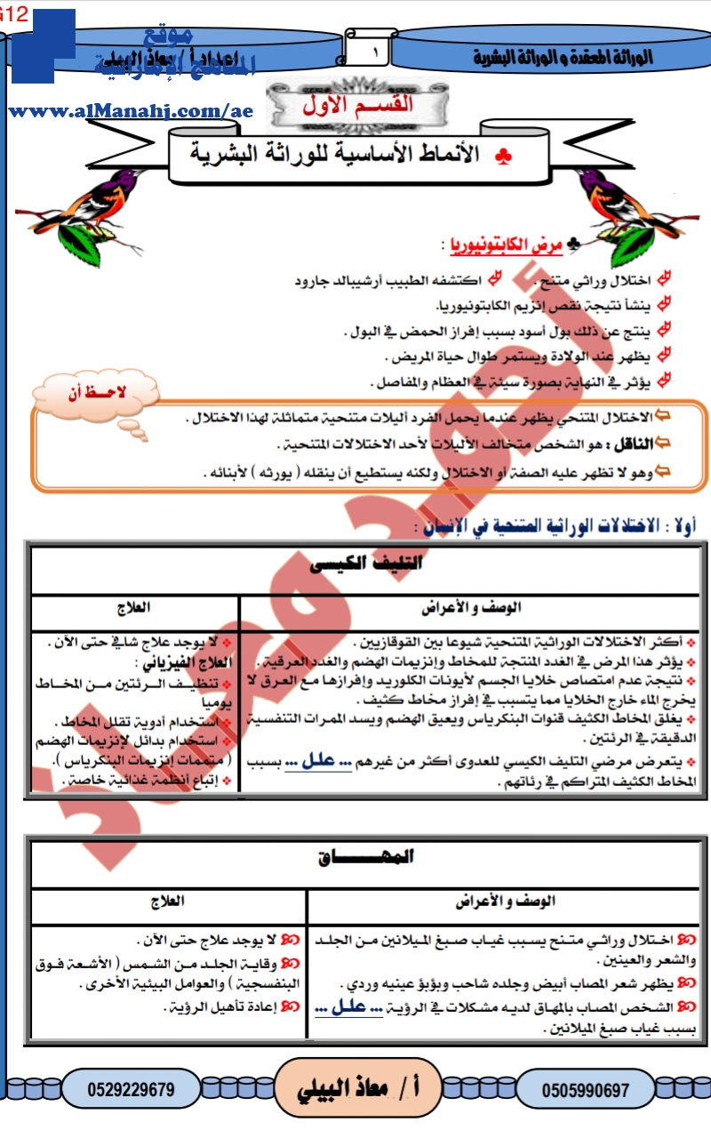 الأنماط الأساسية للوراثة البشرية