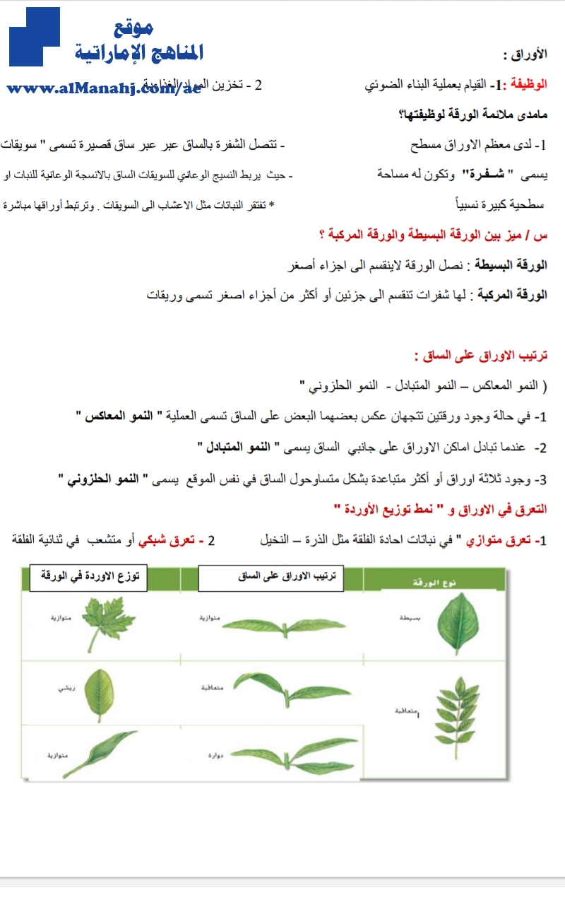 ملخص درس الأوراق