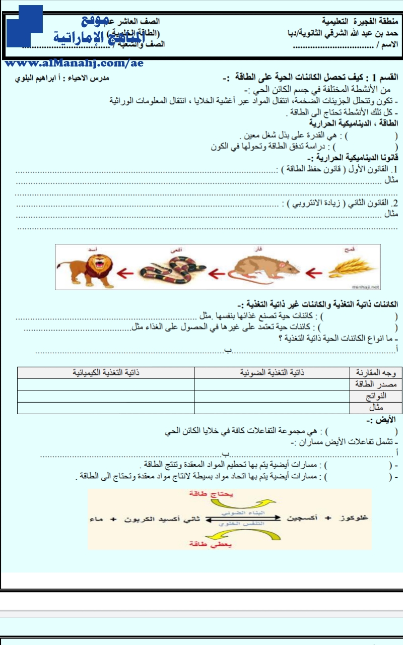 ملخص درس الطاقة الخلوية