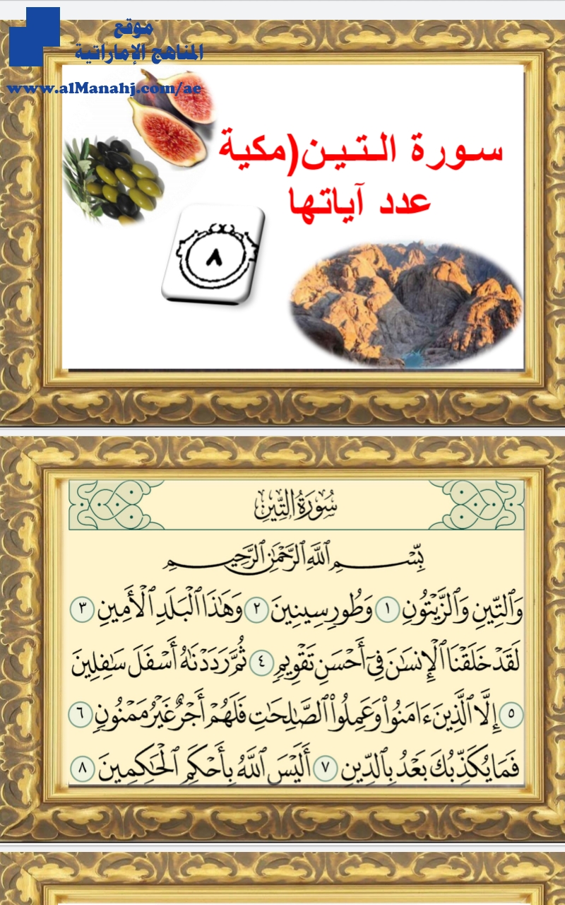 تفسير سورة التين بالصور
