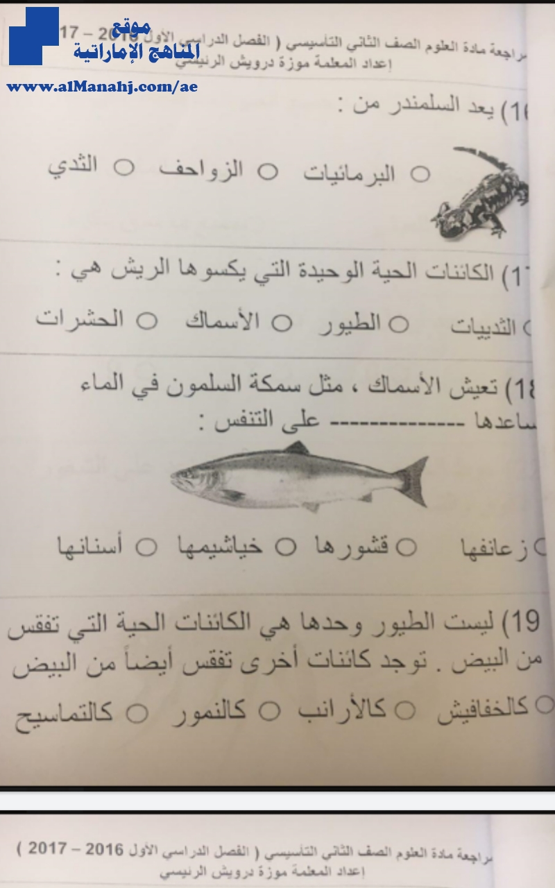 أوراق عمل مراجعة وملخصات للفصل الأول عددها 18