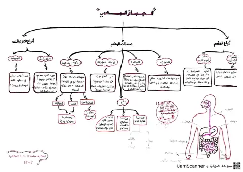 الجهاز الهضمي والتغذية
