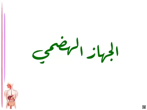 الجهاز الهضمي