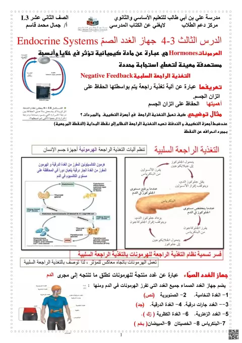 شرح جهاز الغدد الصماء