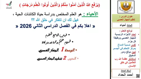 تنظيم الجهاز العصبي