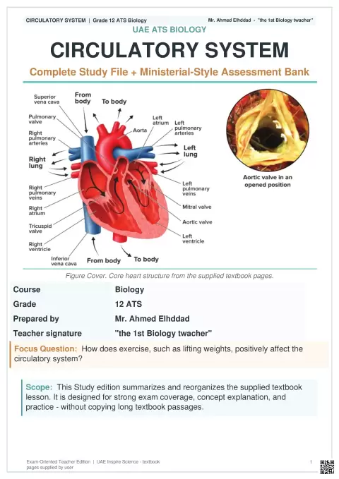 Circulatory System: Complete Study File + Ministerial-Style Assessment Bank