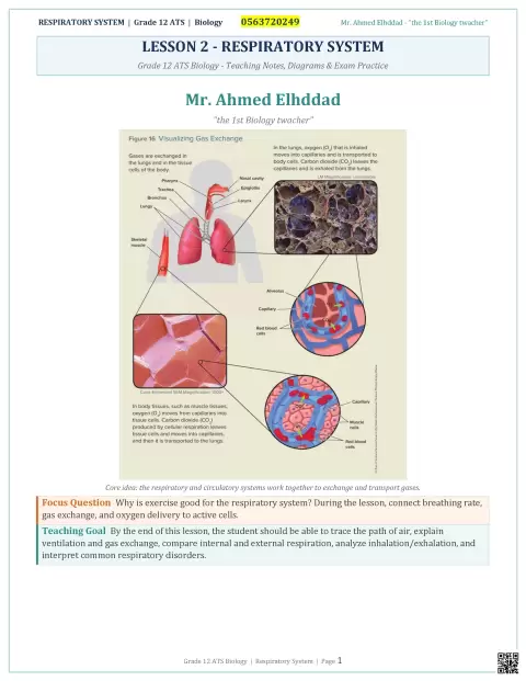 Respiratory System