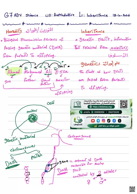 ملخص تعليمي شامل لدرس الوراثة - السابع المتقدم - انسباير